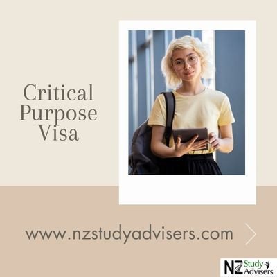 critical-purpose-visa-big-0