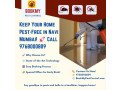 safeguarding-mumbai-choosing-the-best-pest-control-services-small-0
