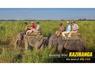 Spl Kaziranga Shillong Package Tour with Naturewings