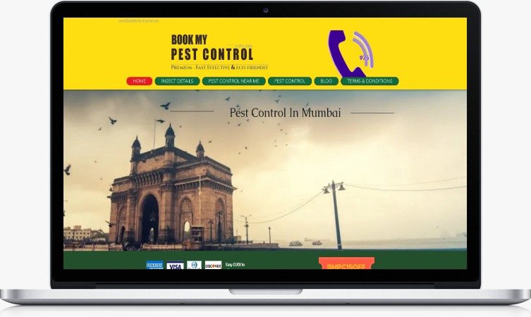 affordable-pest-control-solutions-in-mumbai-your-ultimate-guide-big-0