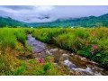 book-arunachal-package-tour-from-bangalore-with-naturewings-small-0