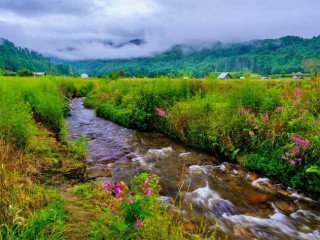 Book Arunachal package tour from Bangalore With NatureWings