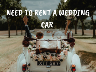 Wedding Rental Car In Chandigarh