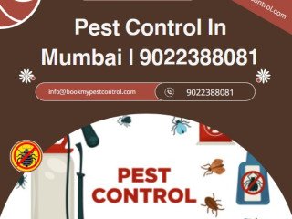 Combating Critters: A Guide to Pest Control Services in Mumbai