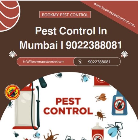 combating-critters-a-guide-to-pest-control-services-in-mumbai-big-0