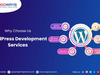 Expert WordPress Development Services in India - Amigoways
