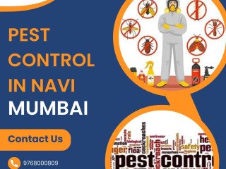 Keeping Navi Mumbai Pest-Free: A Look at Local Pest Control Services