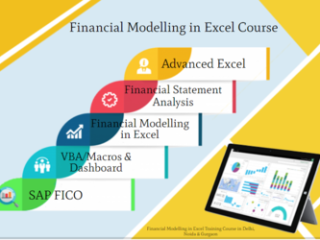 Financial Modeling Certification Course in Delhi,110025. Best Online Live Financial Analyst Training in Alighar by IIT Faculty , [ 100% Job in MNC]