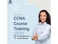 learn-online-ccna-course-at-eduva-tech-small-0