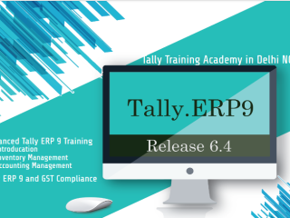 Tally Prime Course in Delhi, 110032, SLA Accounting Institute, SAP FICO and Tally Prime Institute in Delhi, Noida, July Offer'24