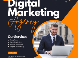 Expert SEO Services from Leading Digital Marketing Agencies in Noida