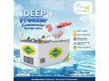 deep-freezer-in-madurai-small-0