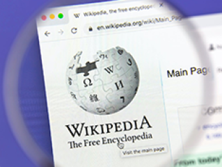 Renowned Wikipedia Experts in Delhi