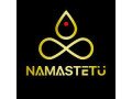 namastetu-technologies-top-digital-marketing-company-in-indore-small-0