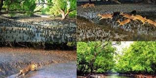 sundarban-2-nights-3-days-big-0