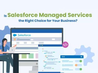 Top Salesforce Consultants in Delhi