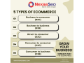 ecommerce-seo-excellence-optimize-your-shopify-big-commerce-stores-with-nexaaseo-small-0