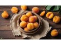 relieve-constipation-naturally-with-apricots-the-perfect-digestive-aid-small-0