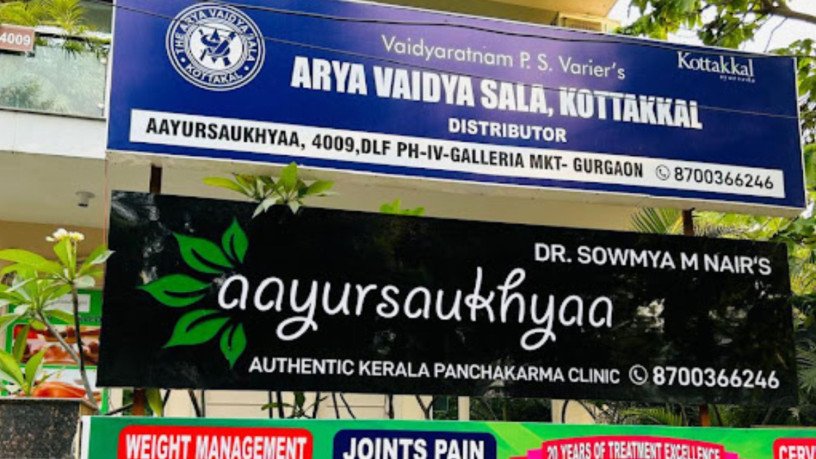 ayurvedic-clinic-and-panchakarma-center-in-gurgaon-big-0