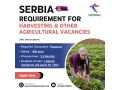 serbia-requirement-for-harvesting-other-agricultural-vacancies-small-0