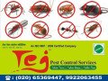 welcome-to-tej-pest-control-services-pune-cockroach-bedbugs-termite-small-0