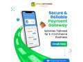 payment-gateway-solutions-omega-softwares-small-0