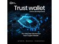 best-trust-wallet-clone-development-block-sentinels-small-0