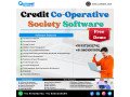 best-credit-co-operative-society-software-small-0