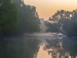 Wonderful Sundarban Tour Package from Kolkata - Book Now!