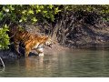 wonderful-sundarban-houseboat-package-tour-book-now-small-0