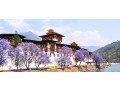 we-offer-bhutan-package-tour-from-guwahati-airport-at-best-price-adorable-vacation-small-0