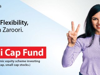 Invest in Flexi Cap Mutual Fund - A Dynamic Equity Investment Option | NJ Mutual Fund