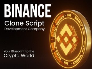 Leading Binance Clone Script Development - Block Sentinels