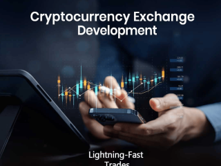 Outstanding Cryptocurrency Exchange for sale - Beleaf Technologies