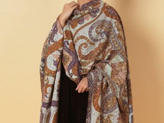 Exquisite Pashmina Kalamkari Shawls – Timeless Elegance - KCS Shop