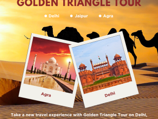 Plan Your Perfect Golden Triangle Tour in India with Royal Cars and Driver