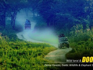 Thrilling Wildlife Dooars Tour Packages from Kolkata