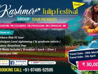 Celebrate Spring with Kashmir Tulip Festival Group Tour Packages