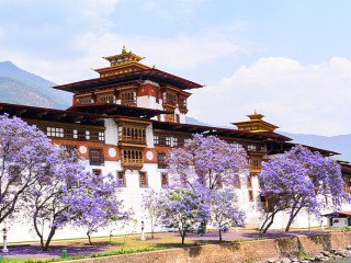 We Offer Bhutan Package Tour from Mumbai with Adorable Vacation