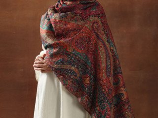 Shop Elegant Kalamkari Pashmina Shawls