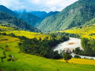 Bhutan package tour from Nagpur at the Best Price