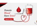 find-blood-donor-online-rajasthan-small-0