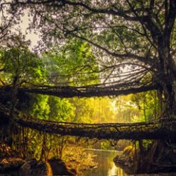 explore-the-best-north-east-tour-package-big-0