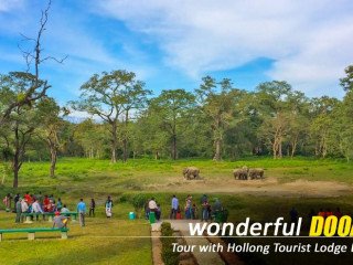 Dooars Tour Package from Siliguri – Ideal Getaway for Nature and Wildlife Lovers