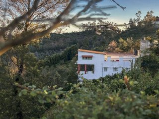 Kodaikanal Budget Villa Price