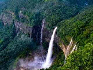 North East Tour Package – Explore India’s Hidden Paradise with NatureWings Holidays
