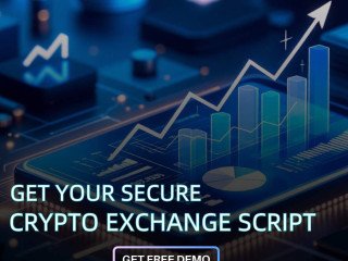 Elite Cryptocurrency Exchange Script Development - Hivelance