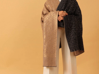 Pashmina Shawl for Women – Elegant Warmth Woven in Every Thread