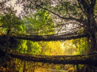 Tawang Tour Package: Explore the Enchanting Himalayas of Arunachal Pradesh