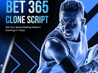 High-Traffic Sports Betting Platforms Built on Bet365 Clone Script